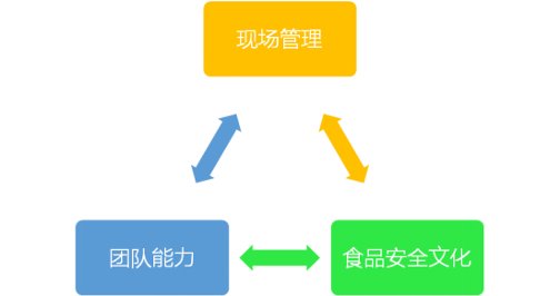 letou·(中国)股份有限公司